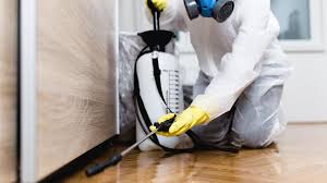 Best Indoor Pest Control  in Rio Rancho Estates, NM