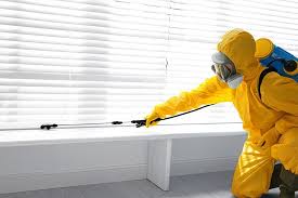 Best Residential Pest Control  in Rio Rancho Estates, NM